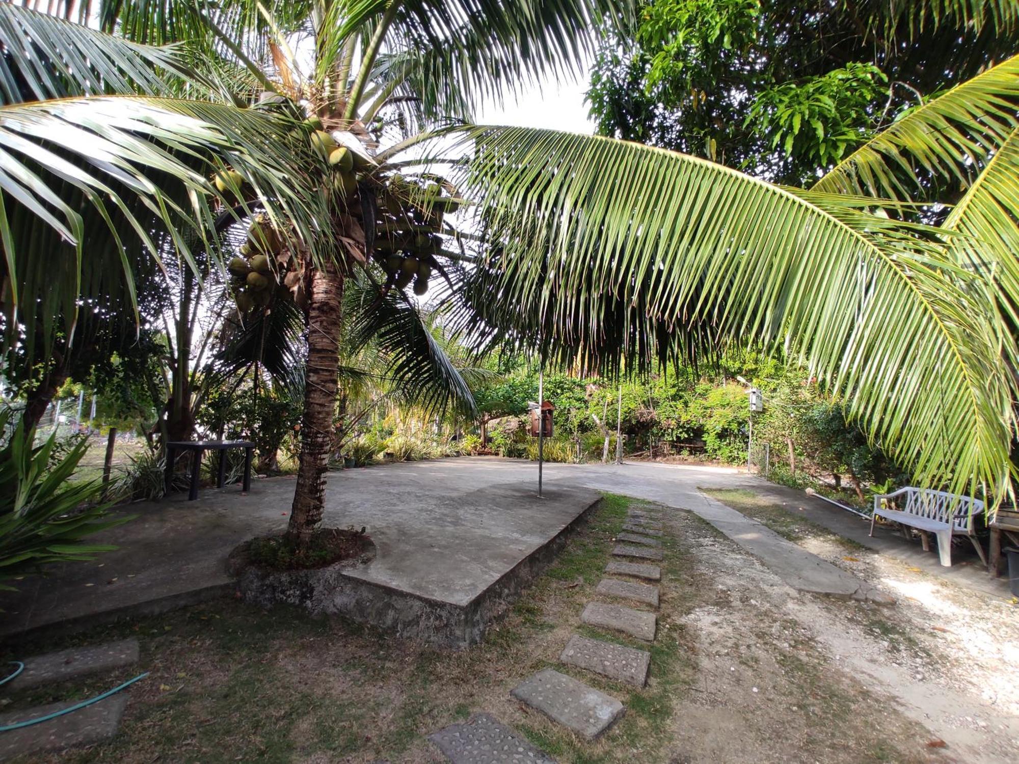 Apoestin Homestay シキホール エクステリア 写真